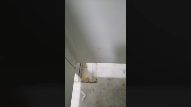 SEGUNDOPOT  01-05-2022